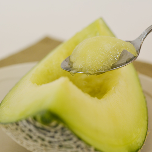 Premium Melon Experience